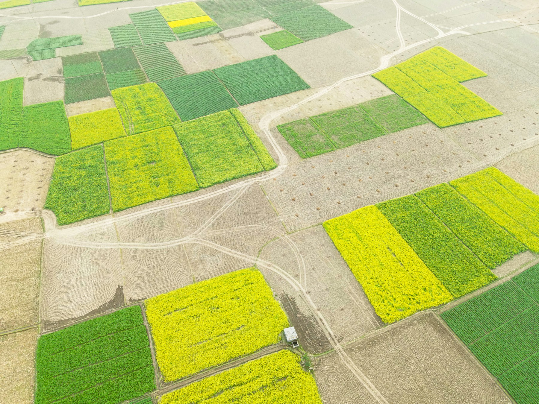 Illustrative imagery for A future-facing location